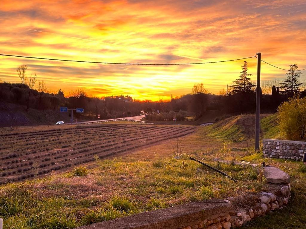 Agriturismo Al Mancino Lonato Ngoại thất bức ảnh